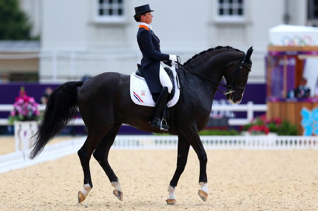 Precautions for novice learning equestrian and how to choose equestrian